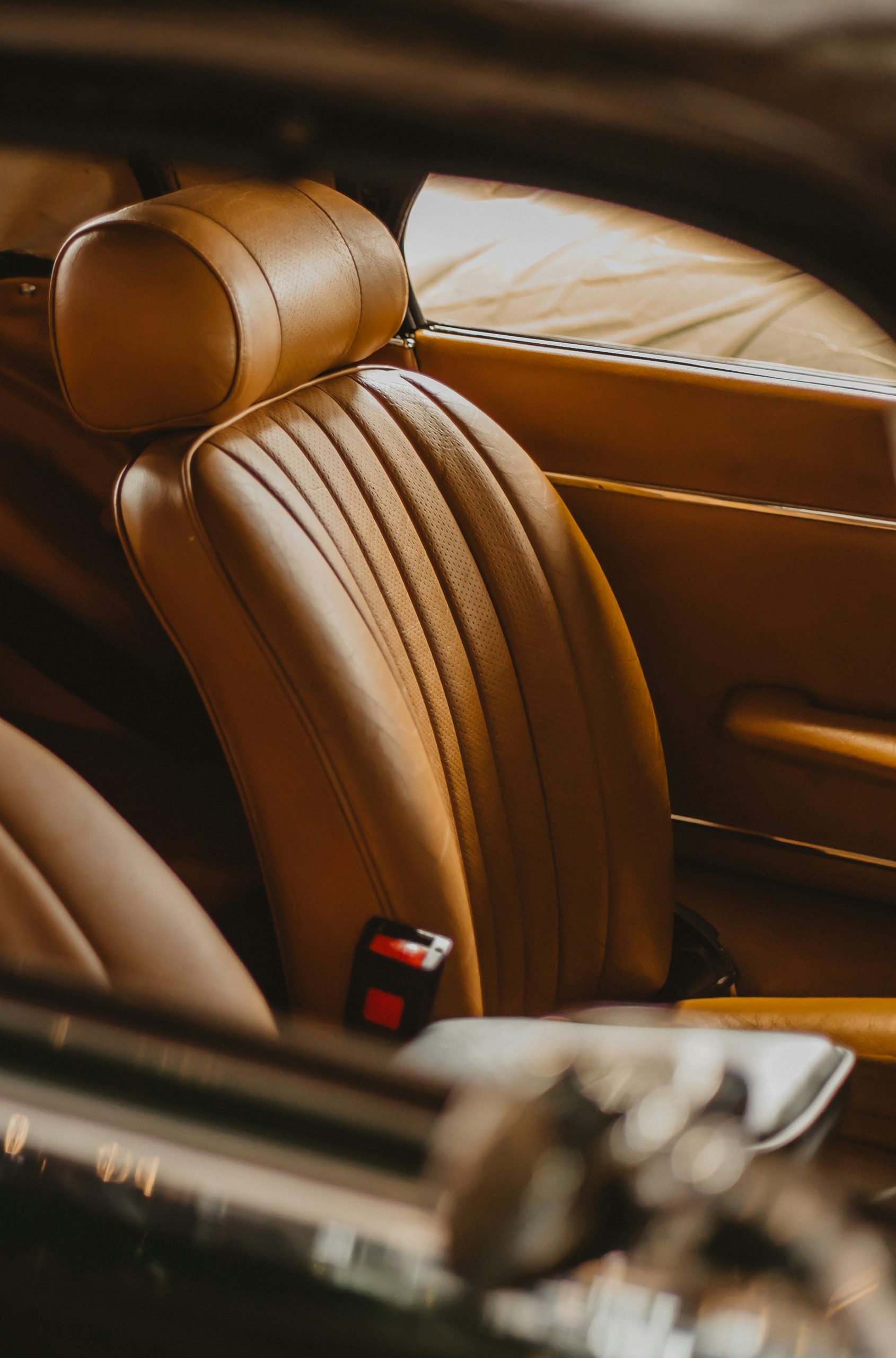 stephan-louis-PxTh6VzXuSo-unsplash